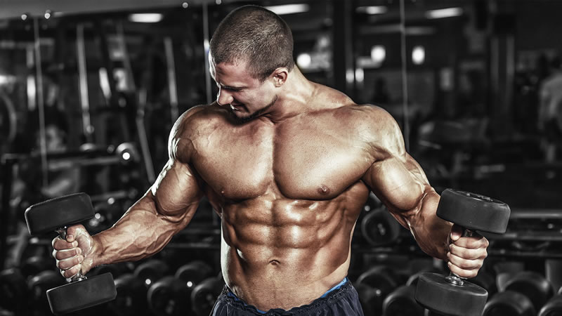 Mass Building with Protein